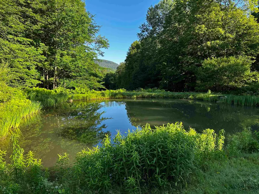 397 Fern Hill, Dorset, VT 05251 - #2