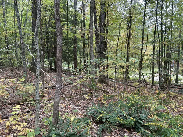 0 Crane Mt Road #Lot 2, Townshend, VT 05353