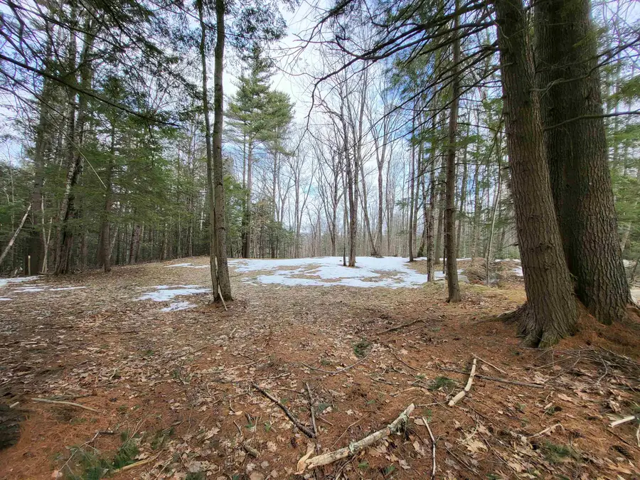 890 Washburn Road, Alexandria, NH 03222 - #3