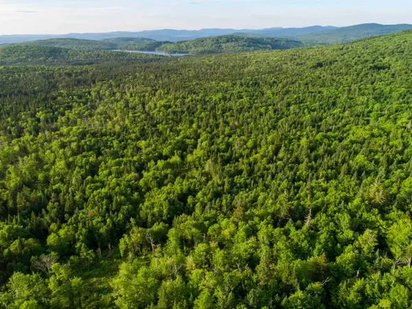 8 Diamond Pond Road #B, Stewartstown, NH 03576