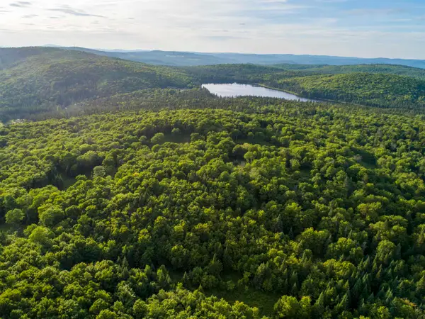 7 Diamond Pond Road #B, Stewartstown, NH 03576