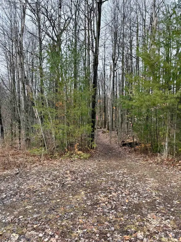 TBD Cherry Lane Extension, Newport City, VT 05855