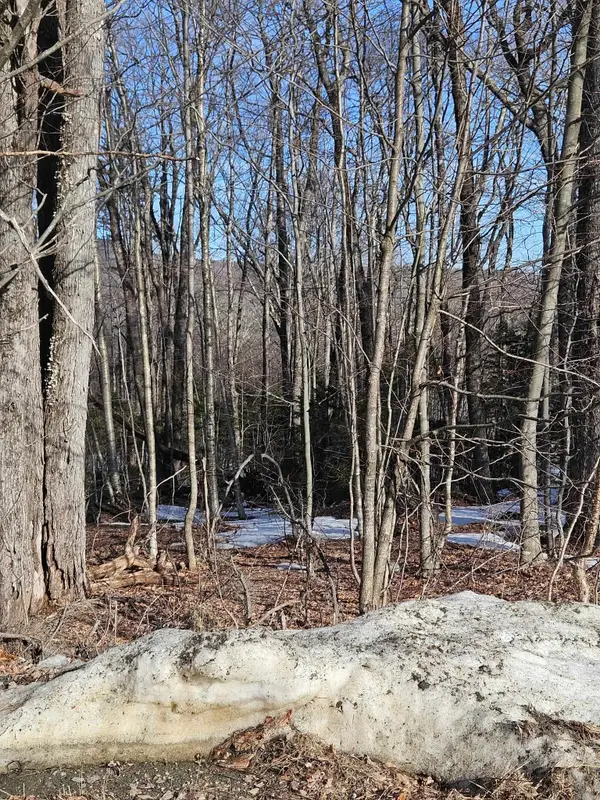 2 Johnson Hill, Dover, VT 05356