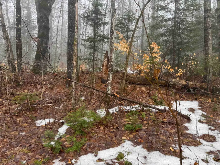 3826 Leighton Hill Road, Wells River, VT 05081 - #3