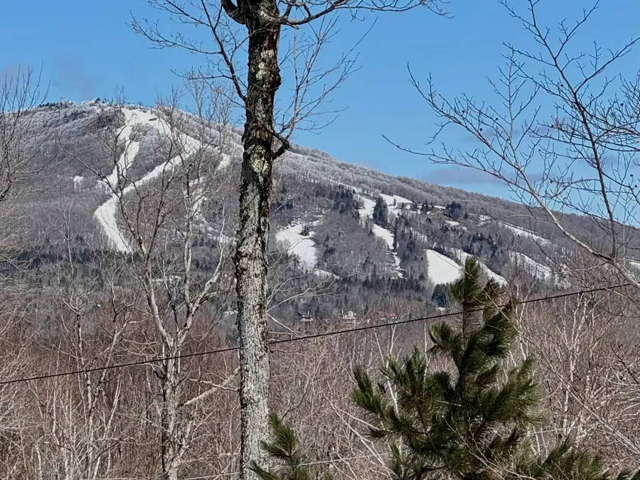 520 Moose Hollow Road, Winhall, VT 05340 - #3