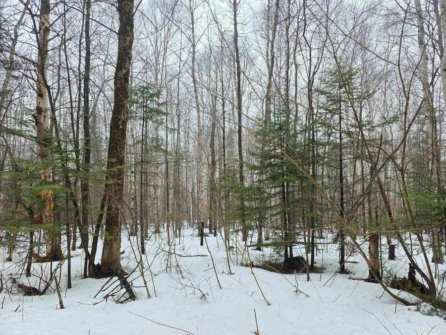 1500 Allard Hill Road, Wheelock, VT 05851 - #2