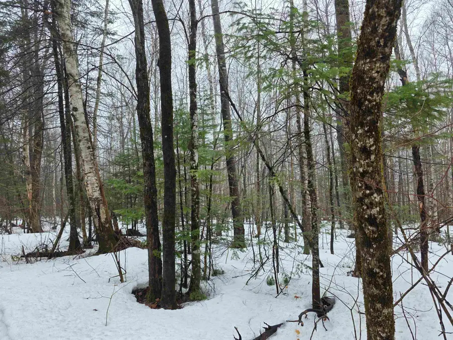 1500 Allard Hill Road, Wheelock, VT 05851 - #3