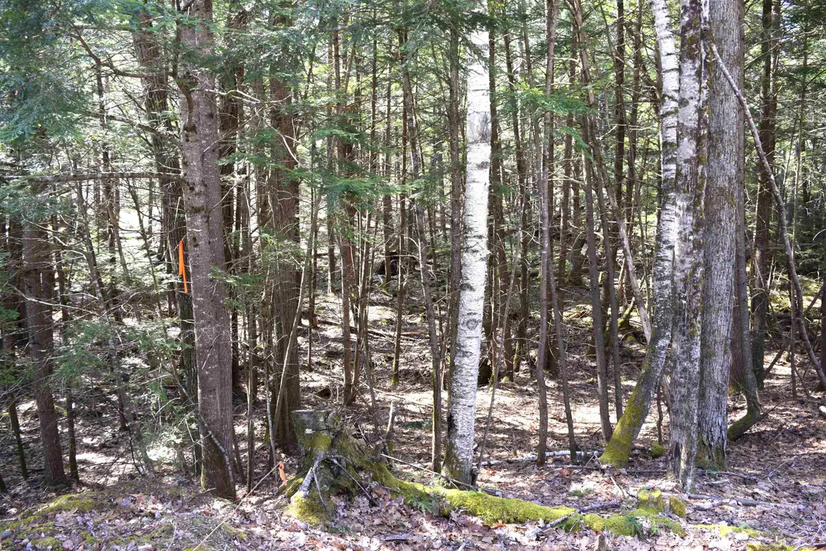 Lot 185 Hanover Drive, Haverhill, NH 03765 - #1