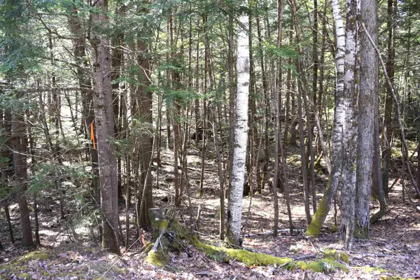 Lot 185 Hanover Drive, Haverhill, NH 03765