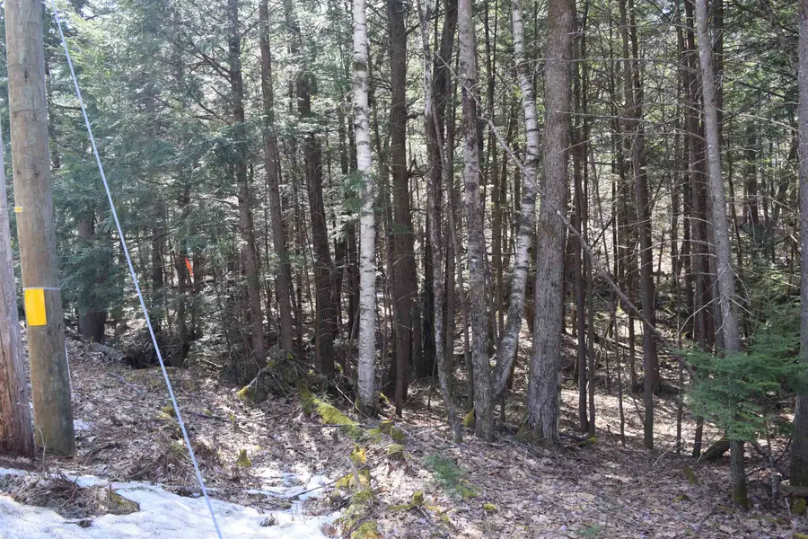 Lot 185 Hanover Drive, Haverhill, NH 03765 - #3