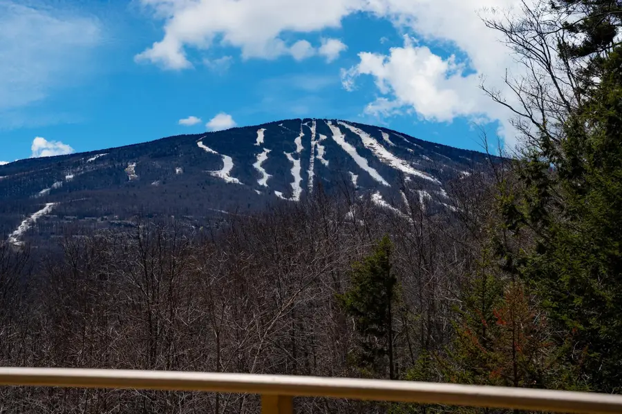 4 Pearl Buck Drive, Winhall, VT 05340 - #2