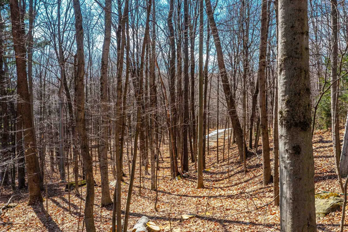 78 Captain Copeland Road #Lot 2, Dover, VT 05341 - #1