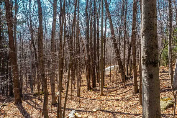 78 Captain Copeland Road #Lot 2, Dover, VT 05341