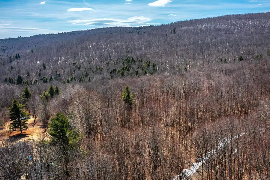 78 Captain Copeland Road #Lot 2, Dover, VT 05341 - #2