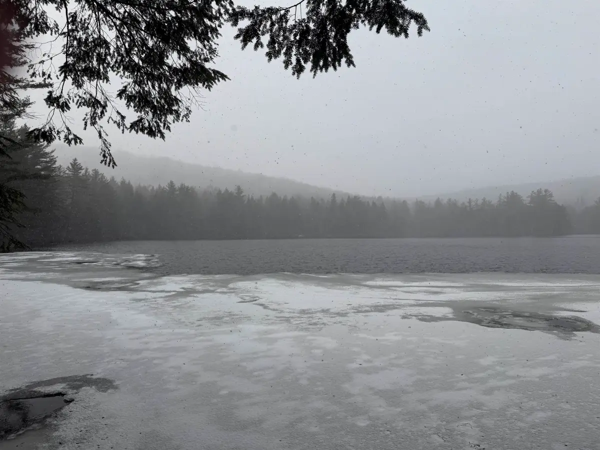 Forrester Road, Jamaica, VT 05343 - #1