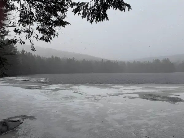 Forrester Road, Jamaica, VT 05343