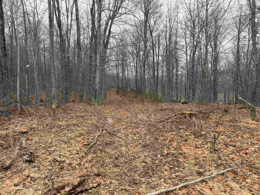 Forrester Road, Jamaica, VT 05343 - #2