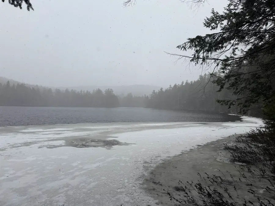 Forrester Road, Jamaica, VT 05343 - #3