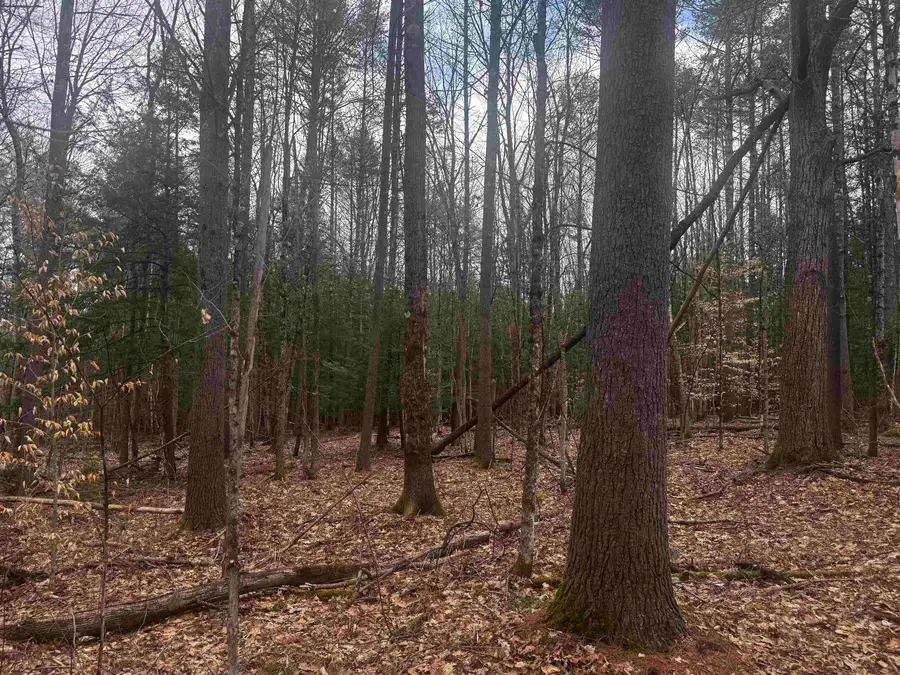 00 Chapman Road, Keene, NH 03431 - #3