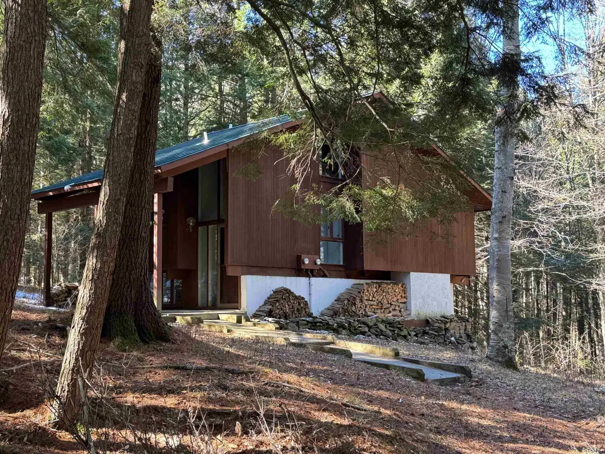 290 Village Lane, Brownsville, VT 05037 - #1