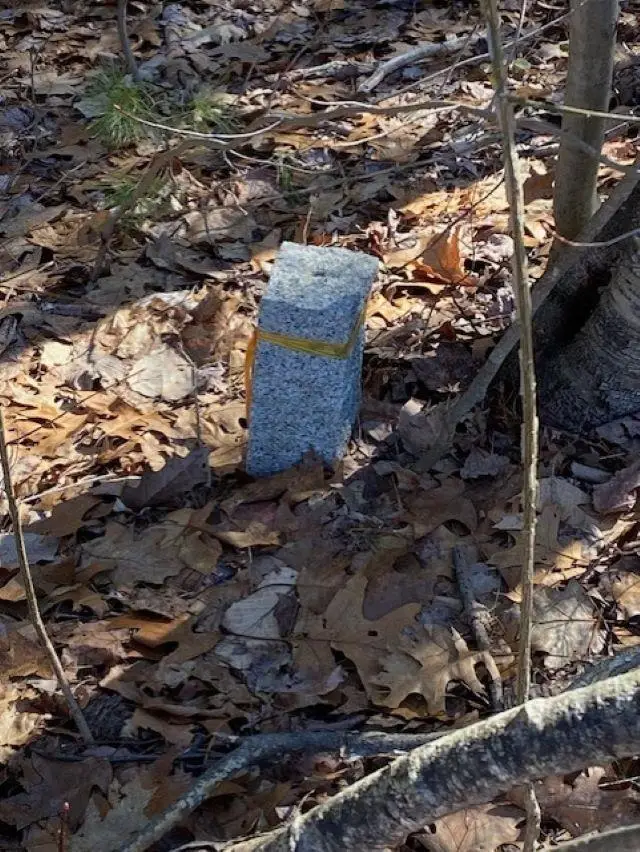 Orchard View Drive #008, Amherst, NH 03031 - #2