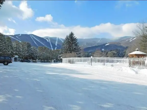 102 Upper Phase Road #71, Warren, VT 05674