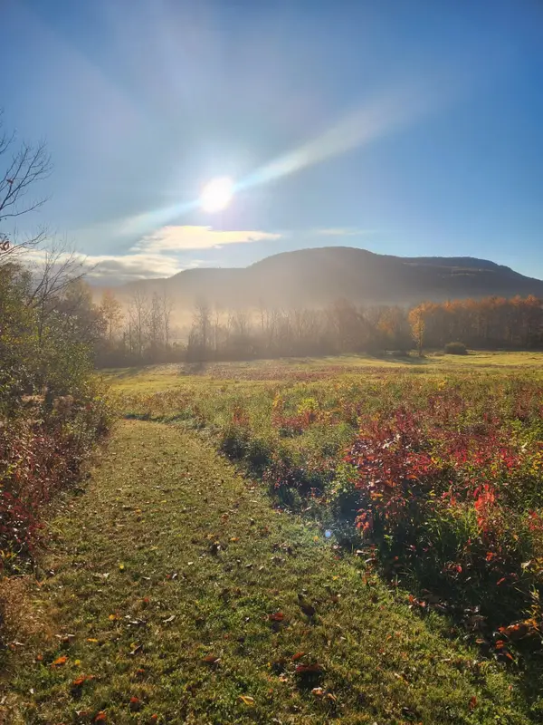 5195 Route 22 A, Addison, VT 05491