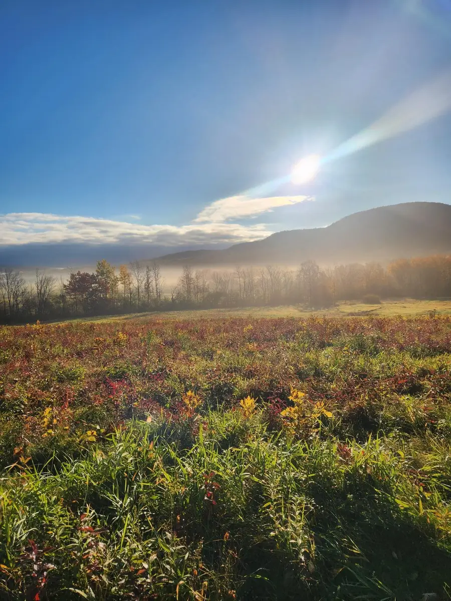 5195 Route 22 A, Addison, VT 05491 - #3