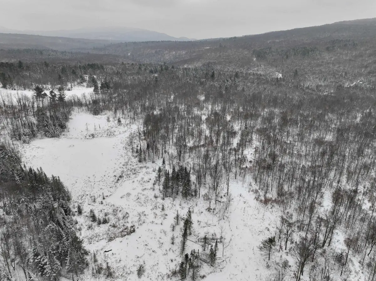 LOT 3 Lincoln Road, Ripton, VT 05766 - #1