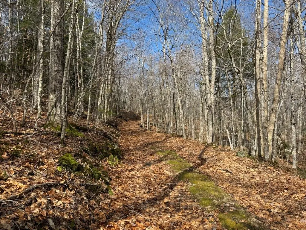 Hoyt Hill Road, Orange, NH 03741 - #1