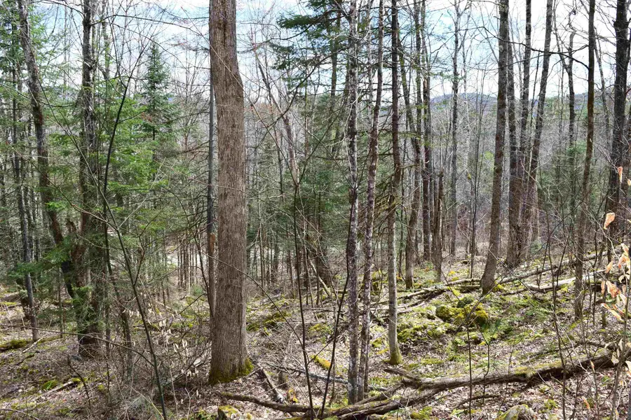 Lot 177 Belknap Drive, Haverhill, NH 03765 - #2