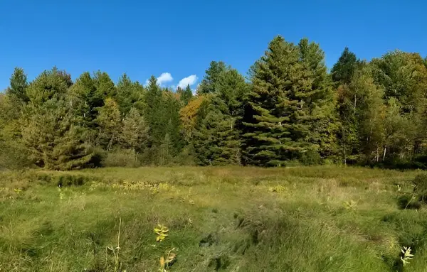 843 River Road, Troy, VT 05859