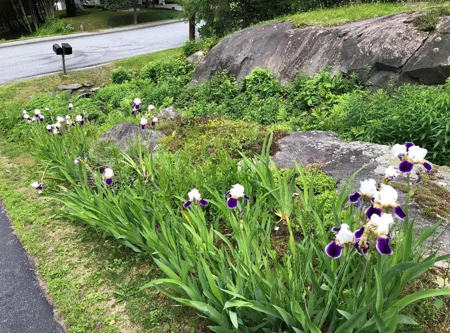 43 Nottingham Circle, Lebanon, NH 03766 - #3