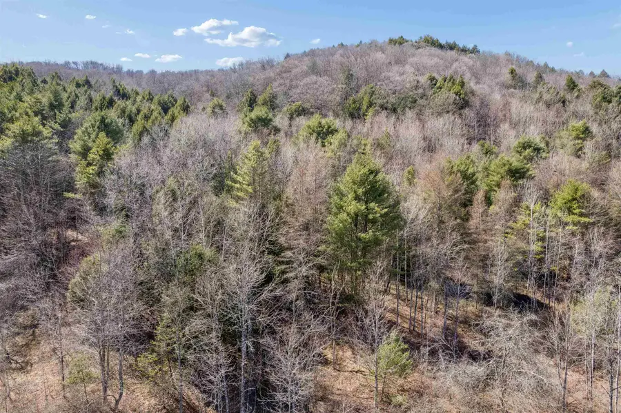 803 Vermont Route 110, Tunbridge, VT 05077 - #3