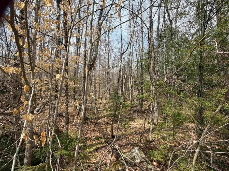 00 Hickory Overlook, Enfield, NH 03748 - #3