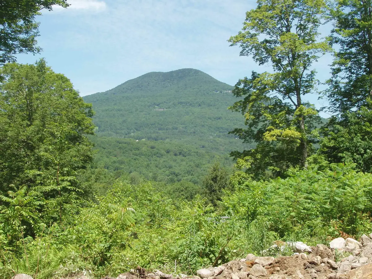 00 Finbar's  Forest Road #7, Manchester, VT 05255 - #1