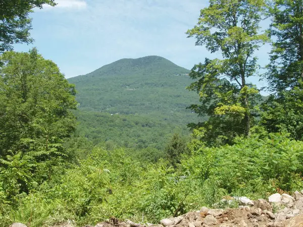 00 Finbar's  Forest Road #7, Manchester, VT 05255