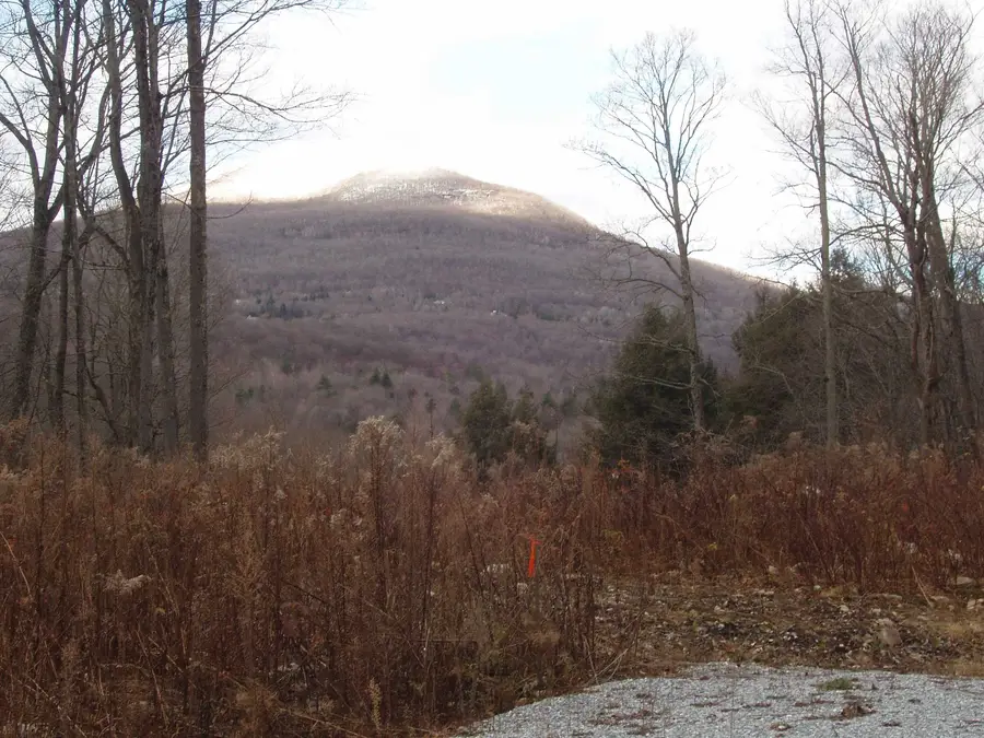 00 Finbar's  Forest Road #7, Manchester, VT 05255 - #2