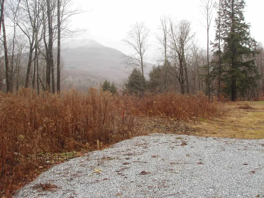 00 Finbar's  Forest Road #7, Manchester, VT 05255 - #3