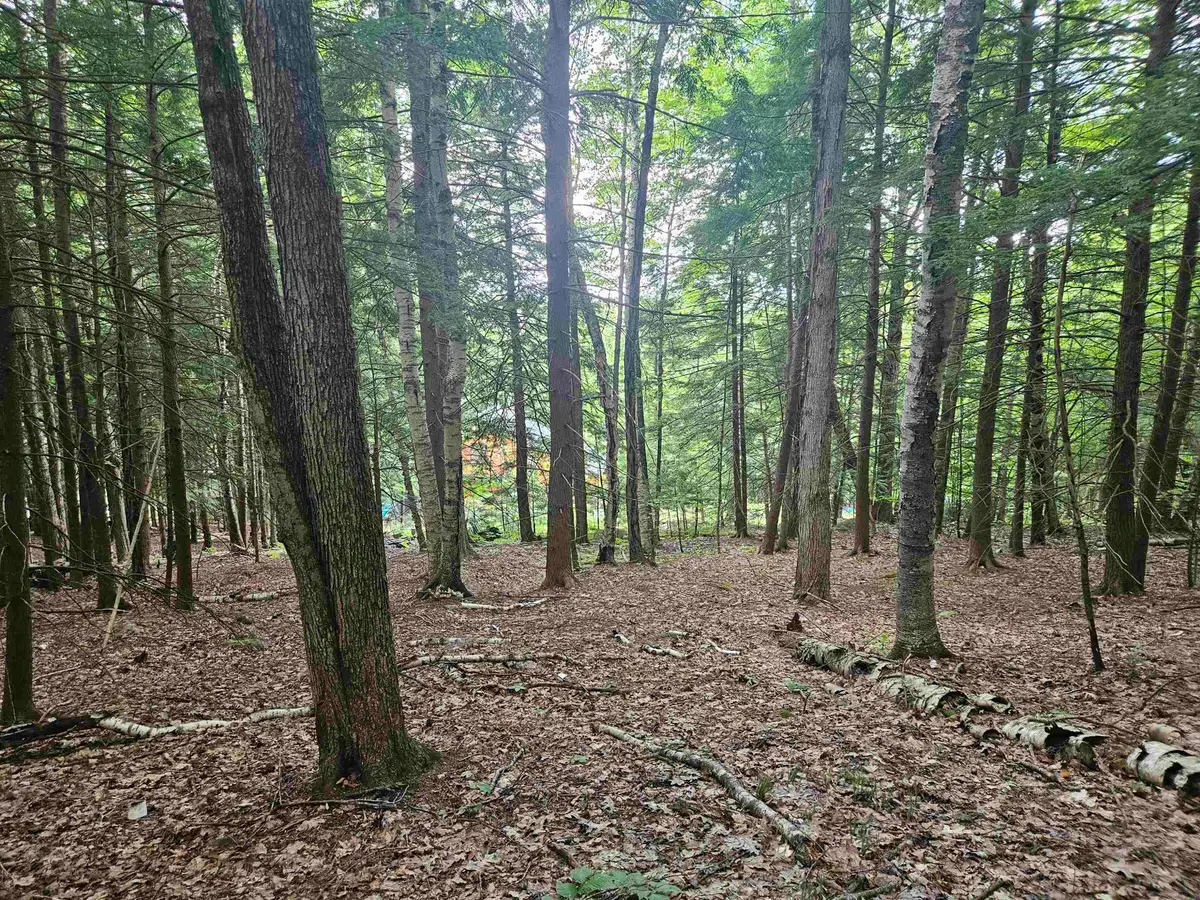 Map 132 Lot 115 Arrowhead Lane, Gilmanton, NH 03237 - #1