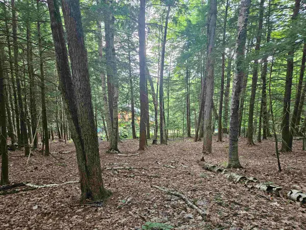 Map 132 Lot 115 Arrowhead Lane, Gilmanton, NH 03237