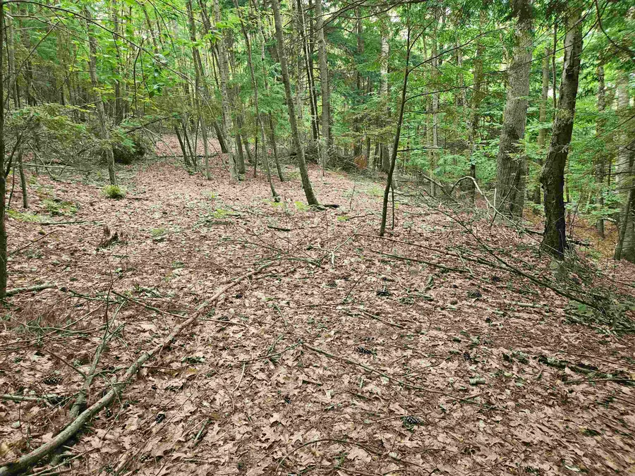 Map 132 Lot 115 Arrowhead Lane, Gilmanton, NH 03237 - #2