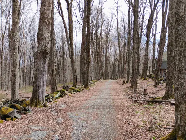 Lot 1 Faraway (Jones) Road, Putney, VT 05346