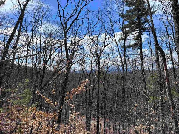 19 Saint Moritz Drive, Madison, NH 03849