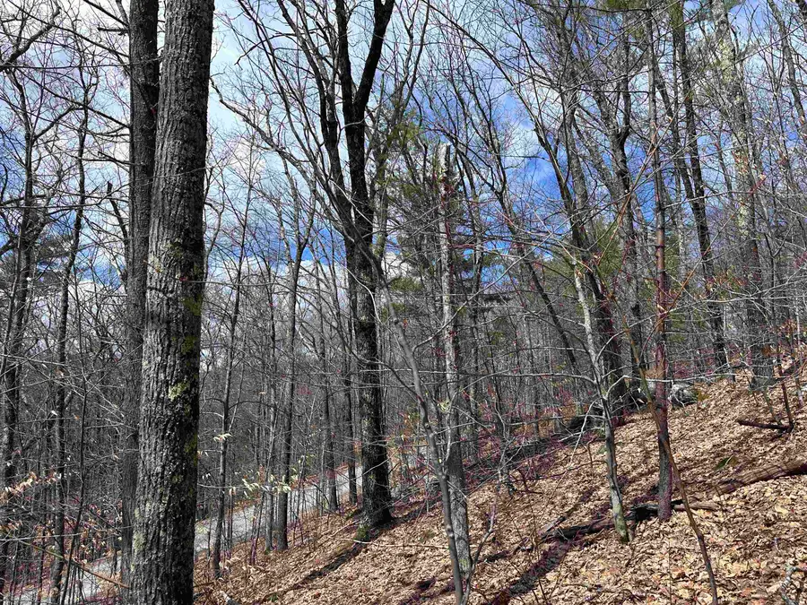 19 Saint Moritz Drive, Madison, NH 03849 - #2