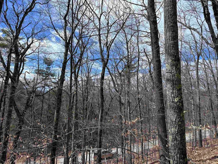 19 Saint Moritz Drive, Madison, NH 03849 - #3