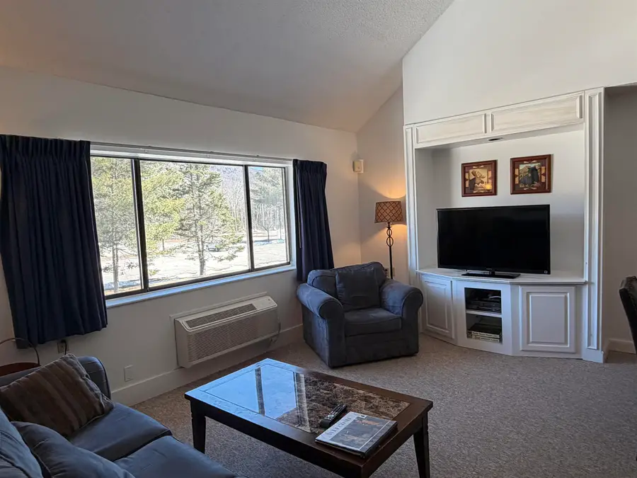 23 Black Bear Road #322, Waterville Valley, NH 03215 - #3