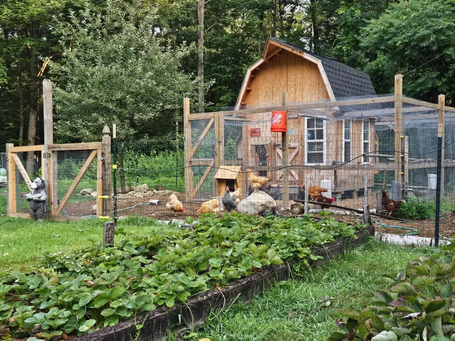 68 White Rock Hill Road, Bow, NH 03304 - #3