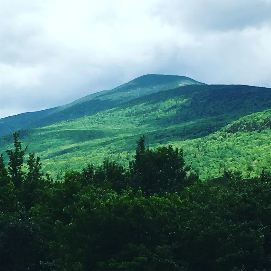 1063 New Hampshire Route 25, Warren, NH 03279 - #3
