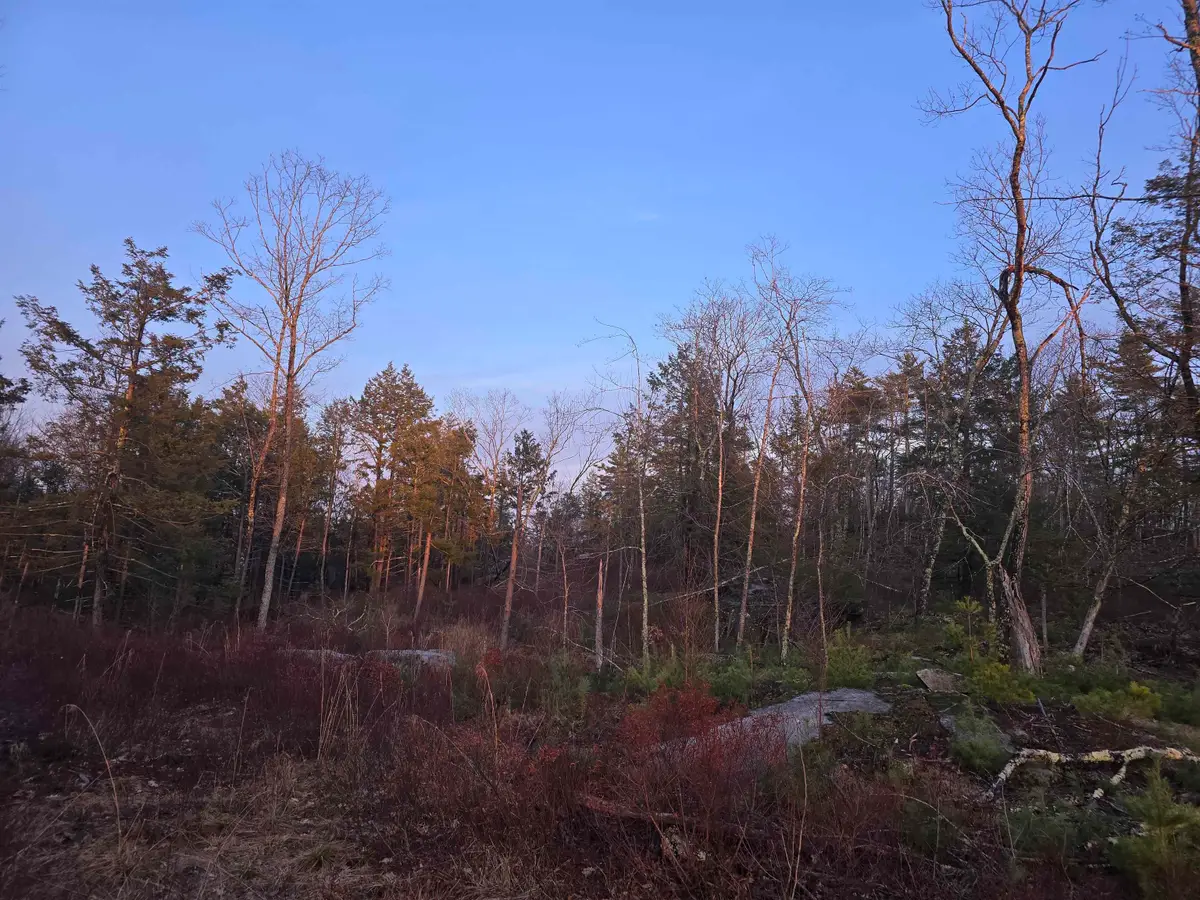 Map 104 Berry River Road #Lots 9 and 8-3, Barrington, NH 03825 - #1